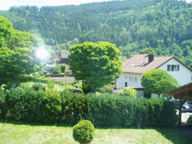 Schwarzwaldhotel / Herberg Wolfach